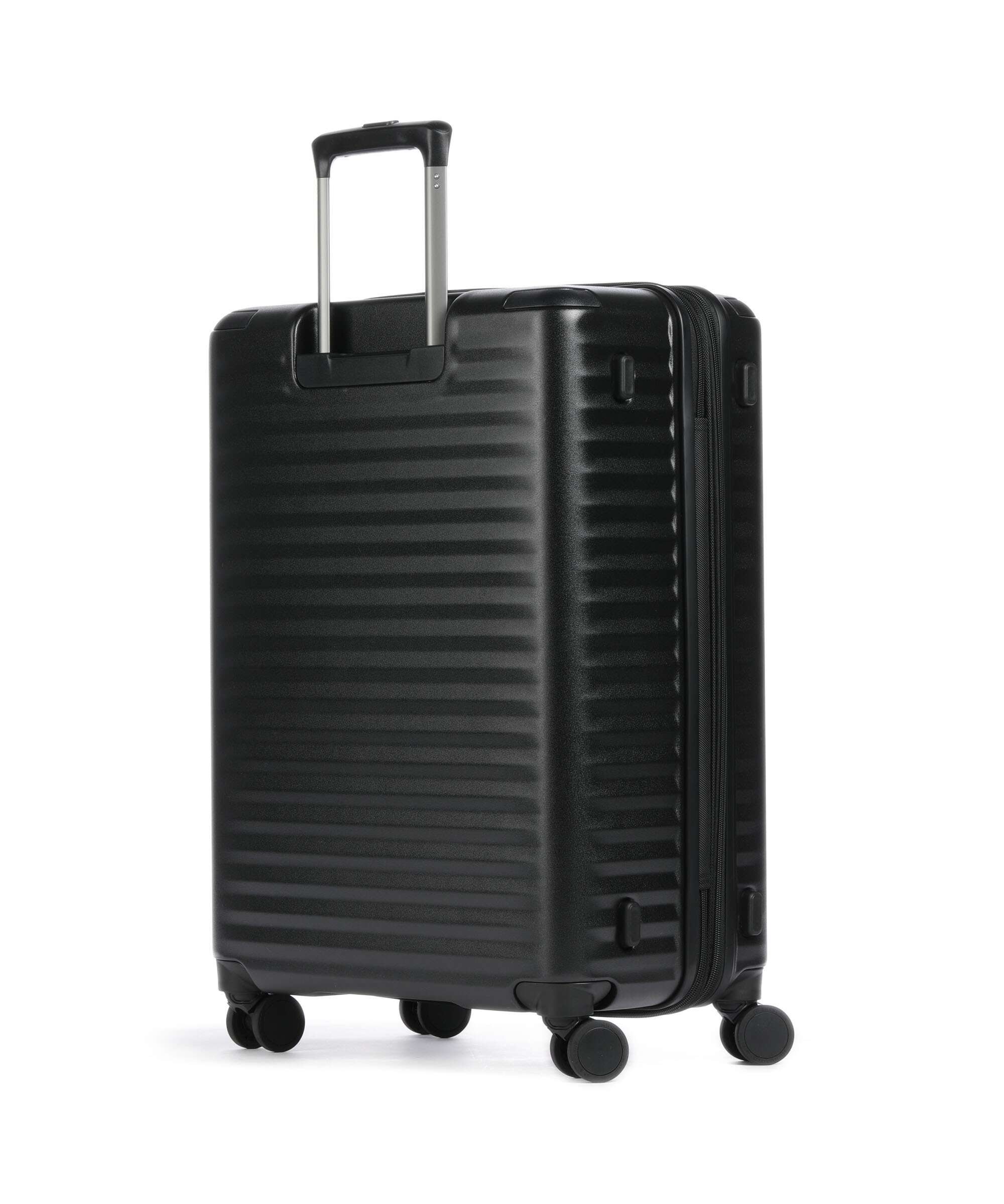 Echolac Celestra BLX M Spinner (4 wheels) black - Image 2