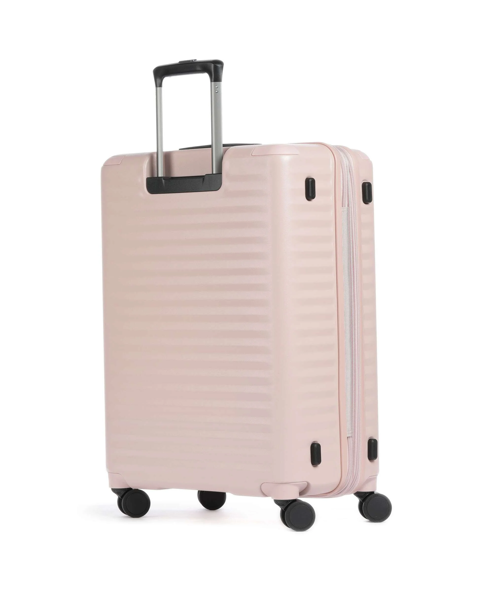 Echolac Celestra BLX M Spinner (4 wheels) pink - Image 2