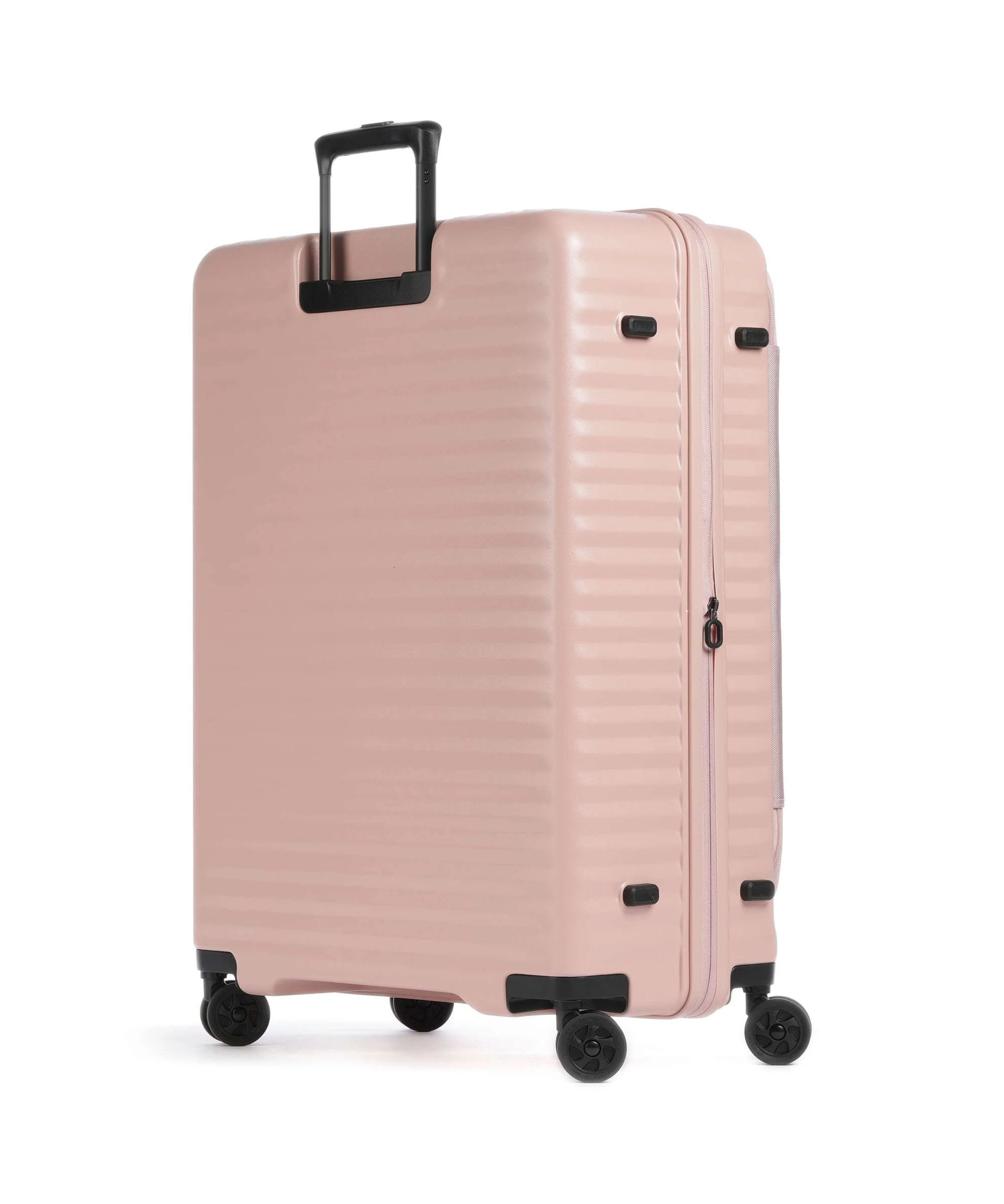 Echolac Celestra FA L Spinner (4 wheels) pink - Image 2
