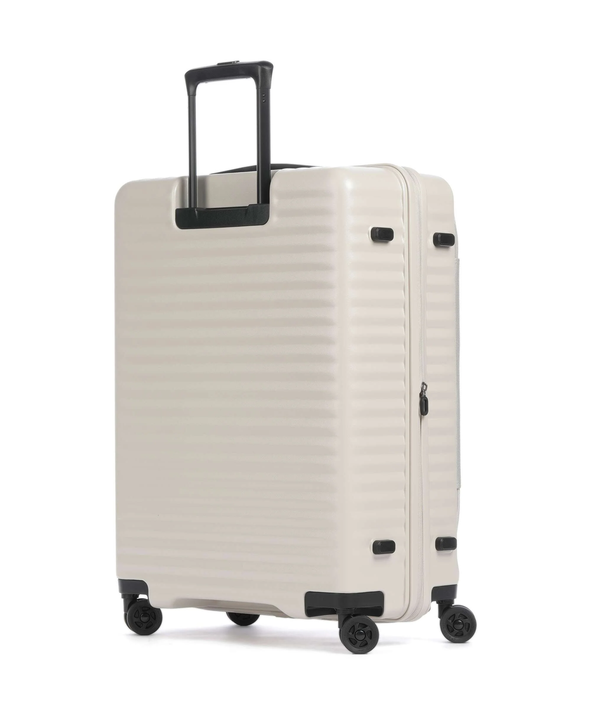 Echolac Celestra FA M Spinner (4 wheels) vanilla cream - Image 2