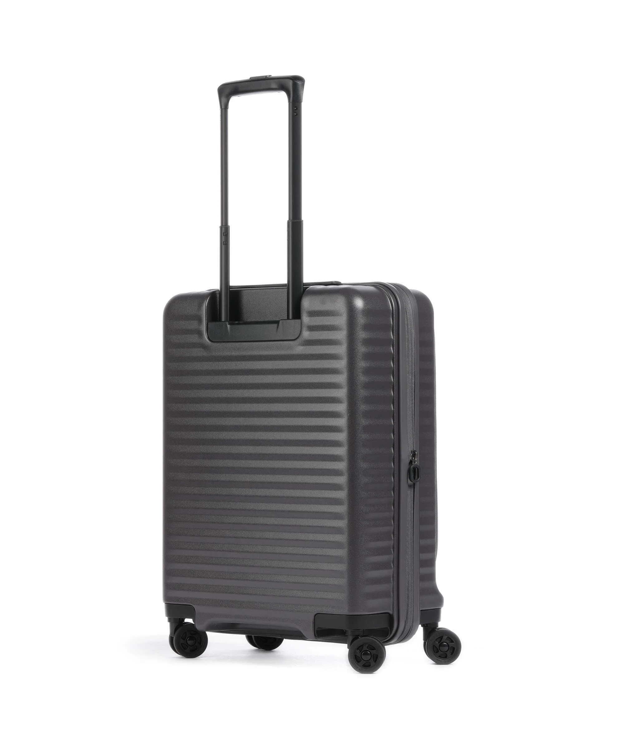 Echolac Celestra FA S Spinner (4 wheels) dark grey - Image 2