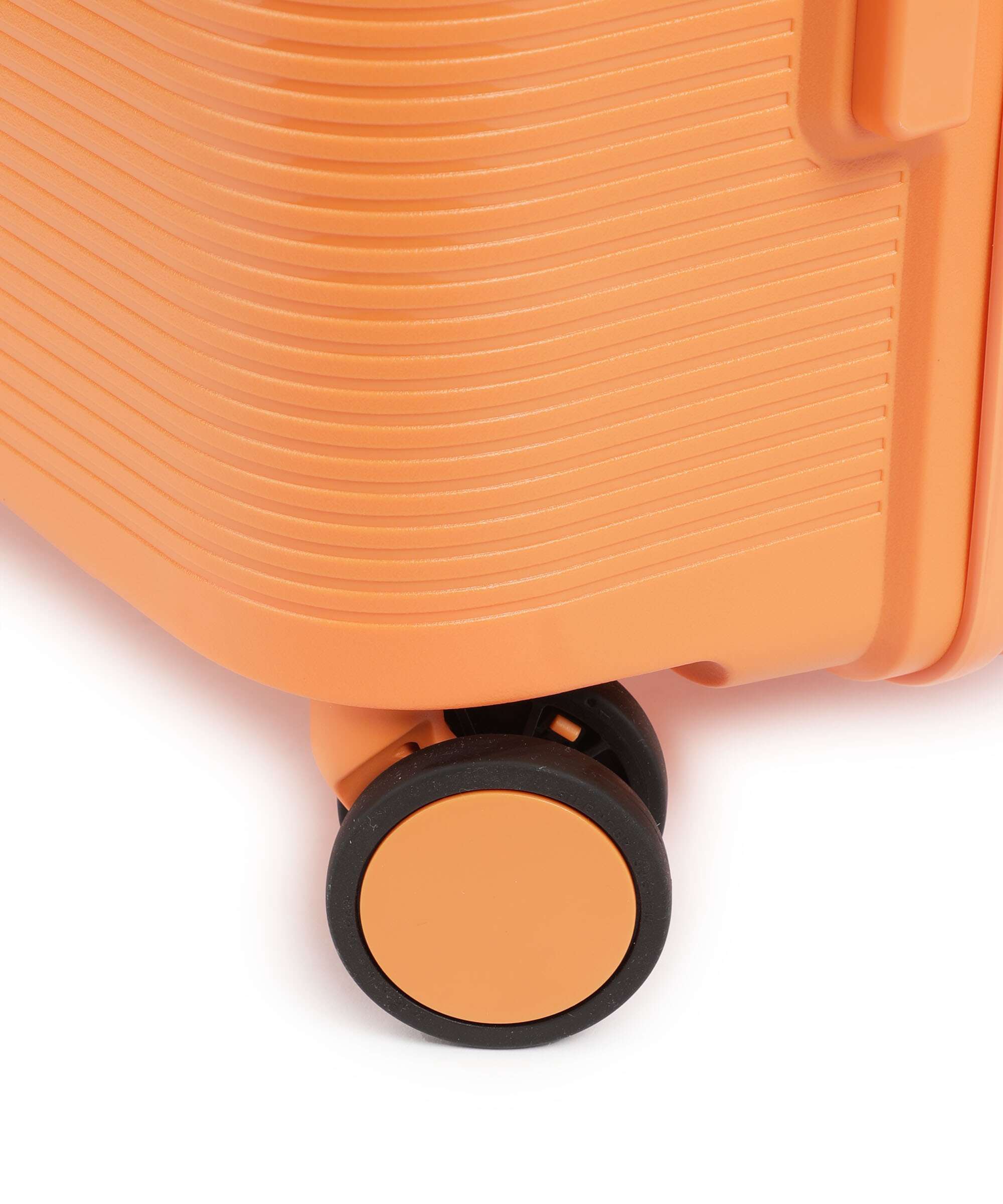 Echolac Forza L Spinner (4 wheels) apricot crush - Image 4