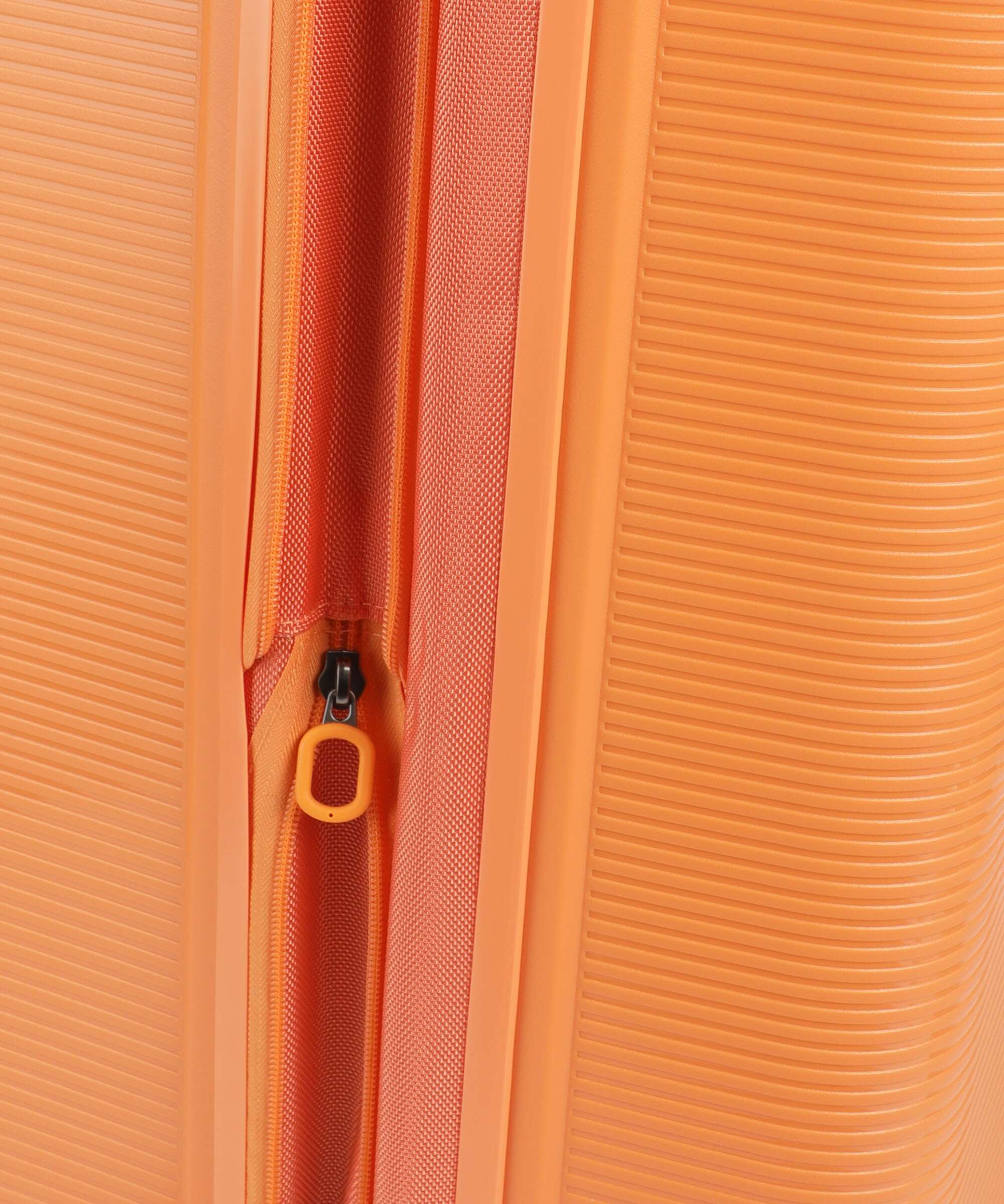 Echolac Forza L Spinner (4 wheels) apricot crush - Image 5