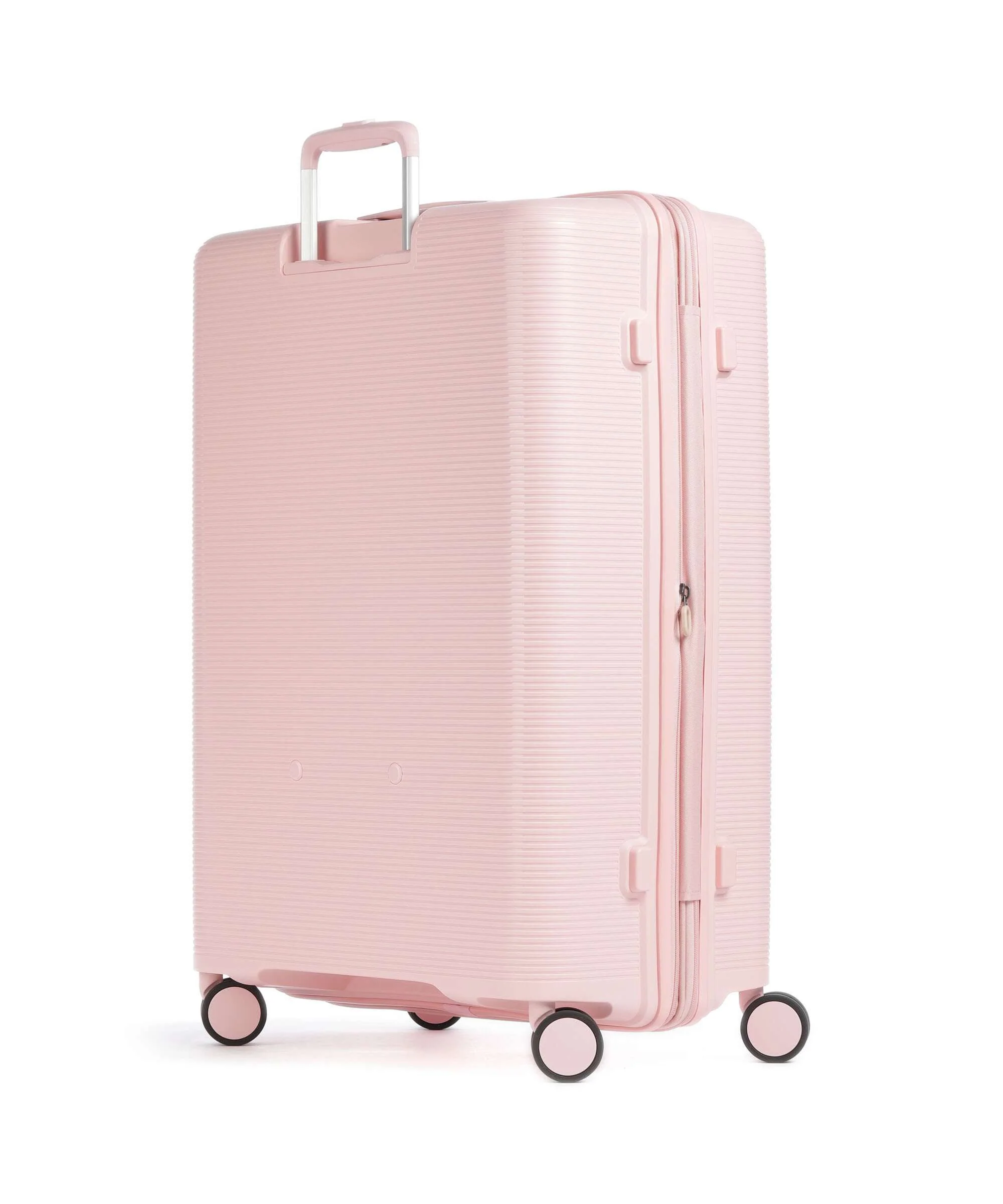 Echolac Forza L Spinner (4 wheels) pink - Image 2