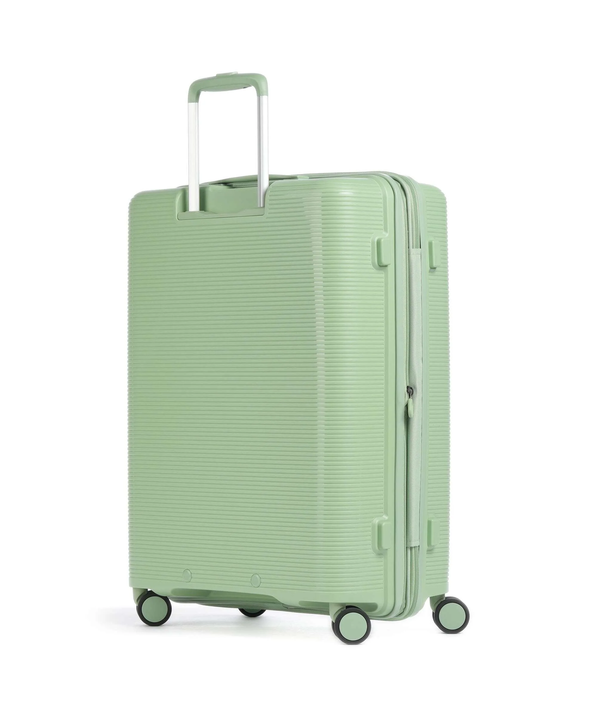 Echolac Forza M Spinner (4 wheels) reef green - Image 2