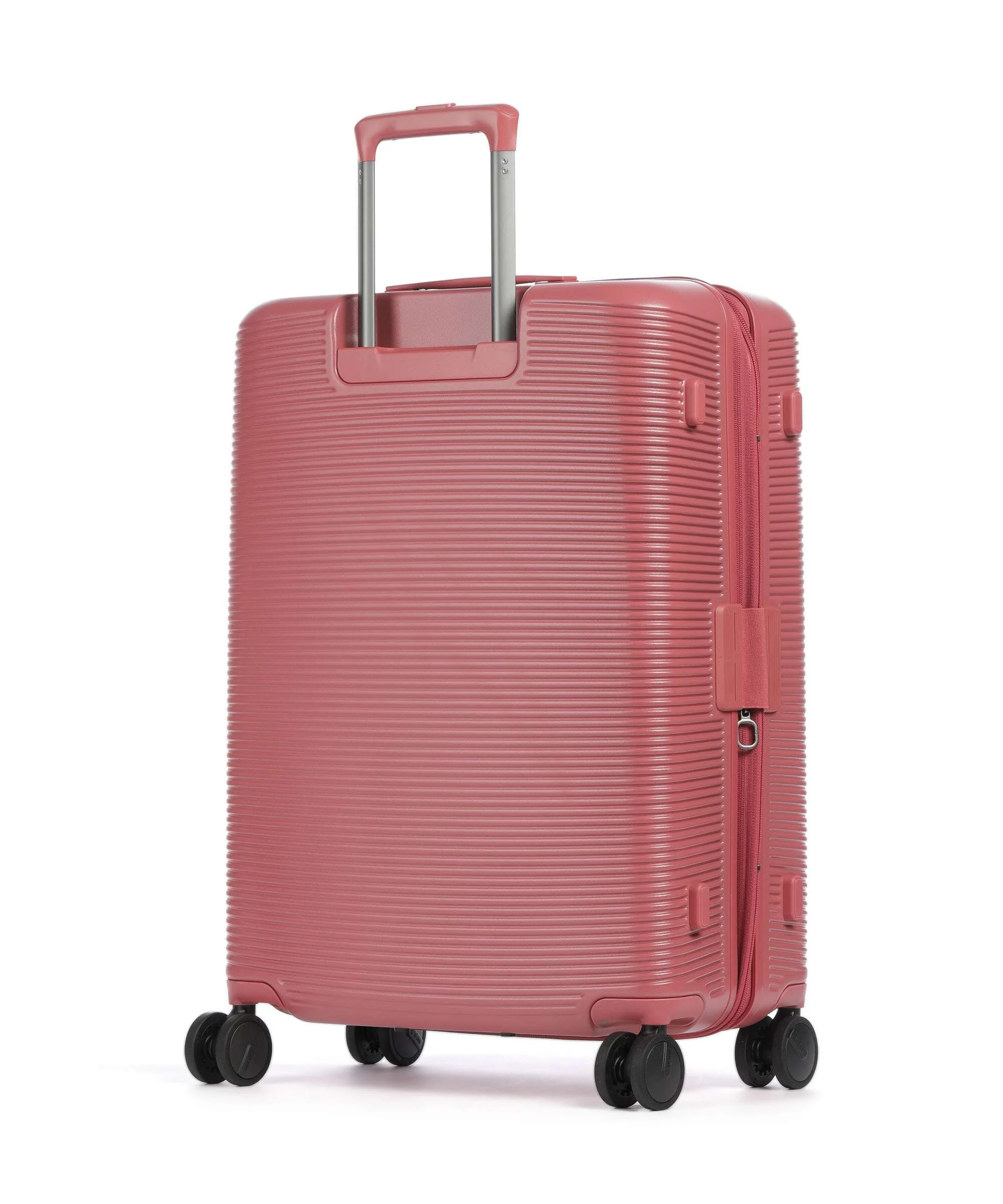 Echolac Ultima M Spinner (4 wheels) red - Image 2