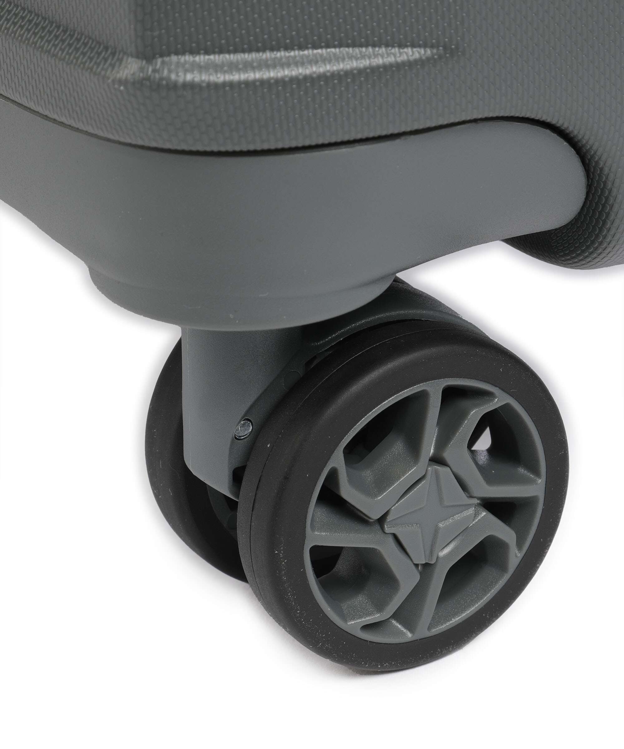 Epic Zeleste Re: Spinner (4 wheels) ghost grey - Image 4