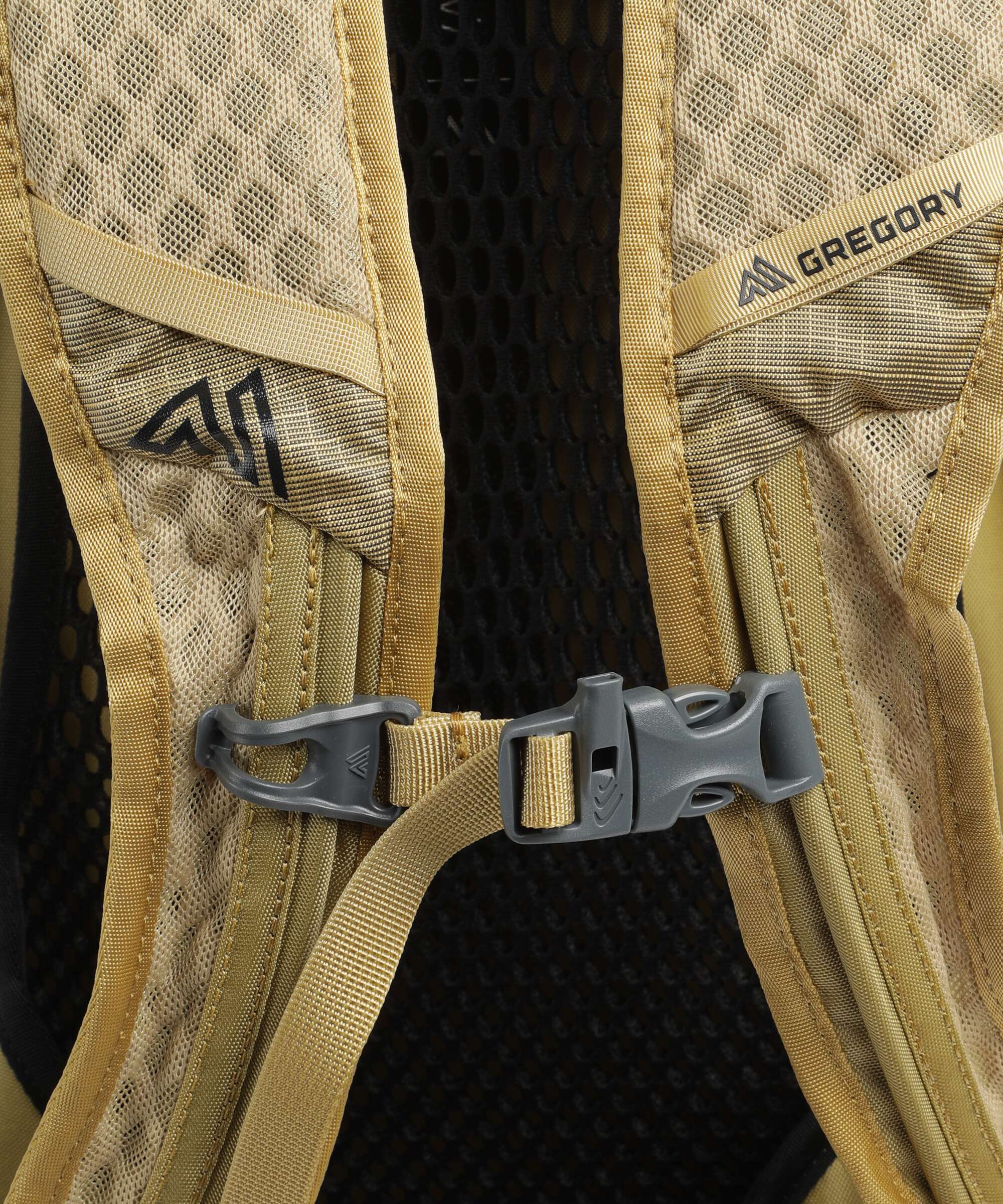 Gregory Arrio 22 RC Hiking backpack amber haze - Image 3