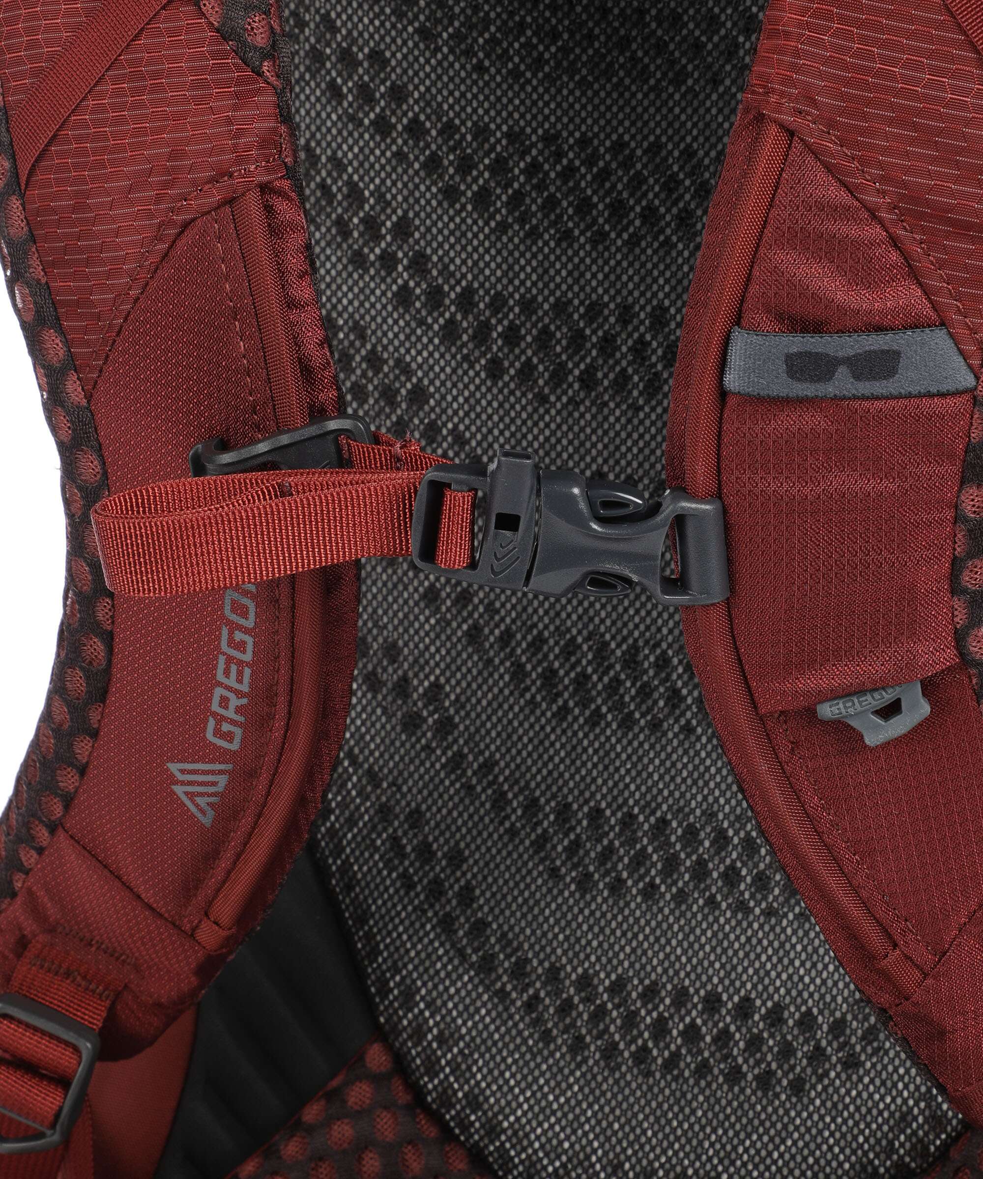Gregory Baltoro 65 RC MD Trekking backpack brick red - Image 3