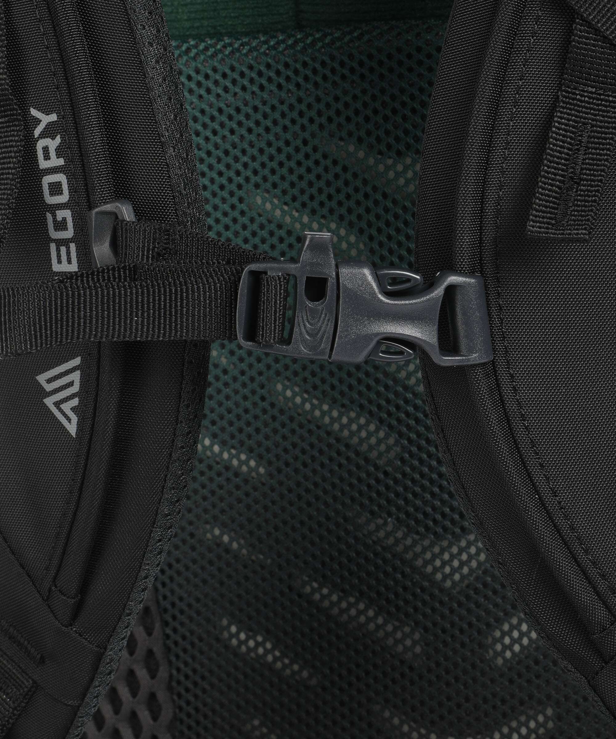 Gregory Stout 70 Trekking backpack forest black - Image 3