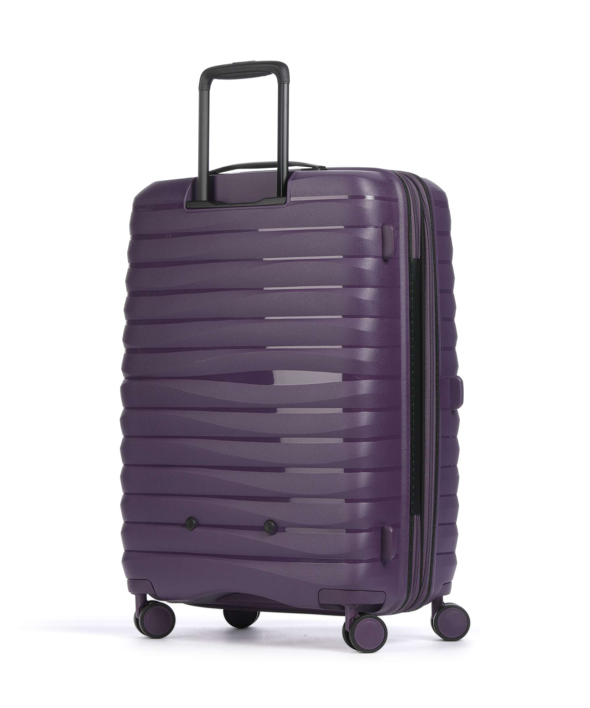 Jump Xwave Spinner (4 wheels) purple - Image 2