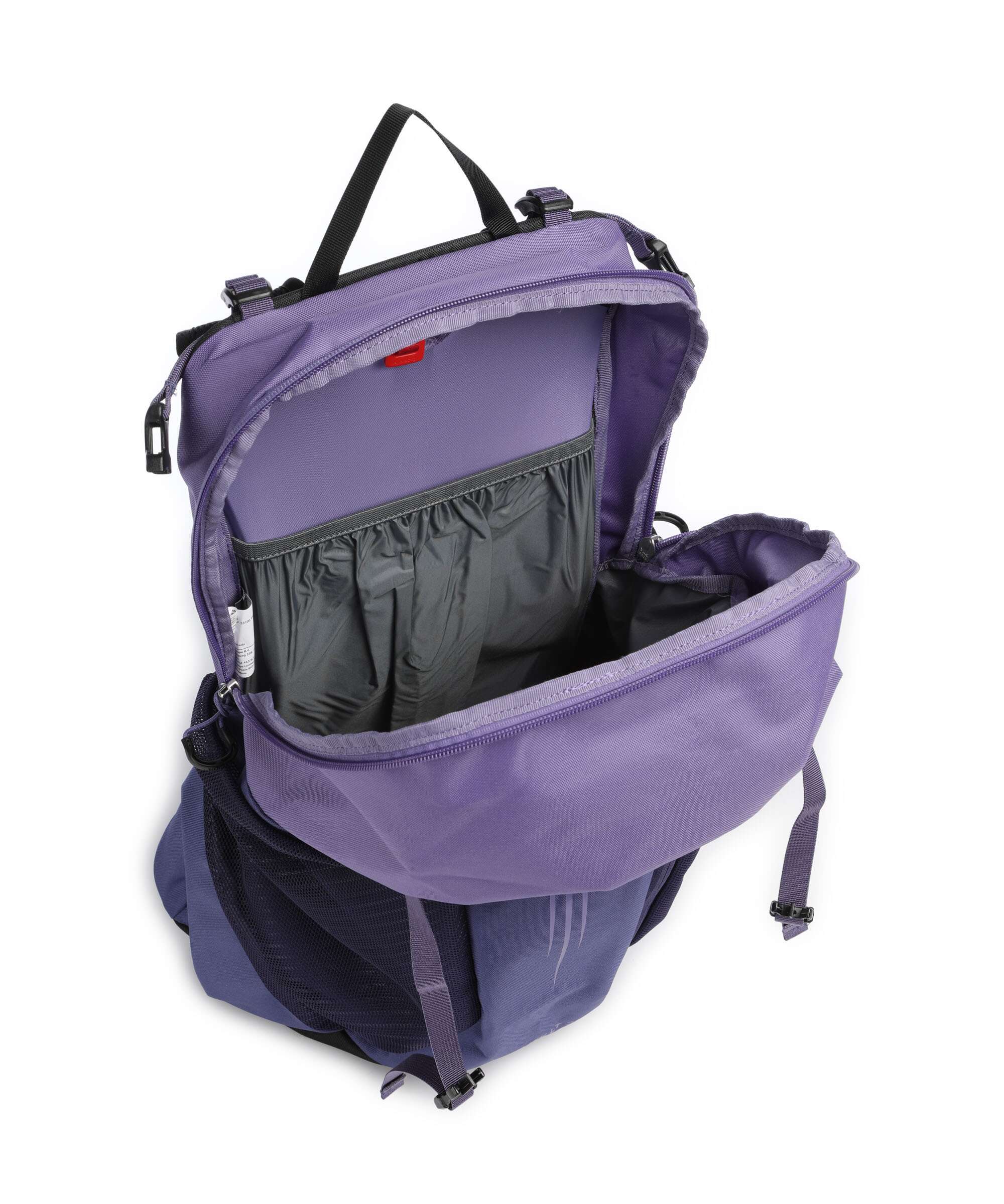 Osprey Hikelite 22 Hiking backpack botswana purple - Image 4