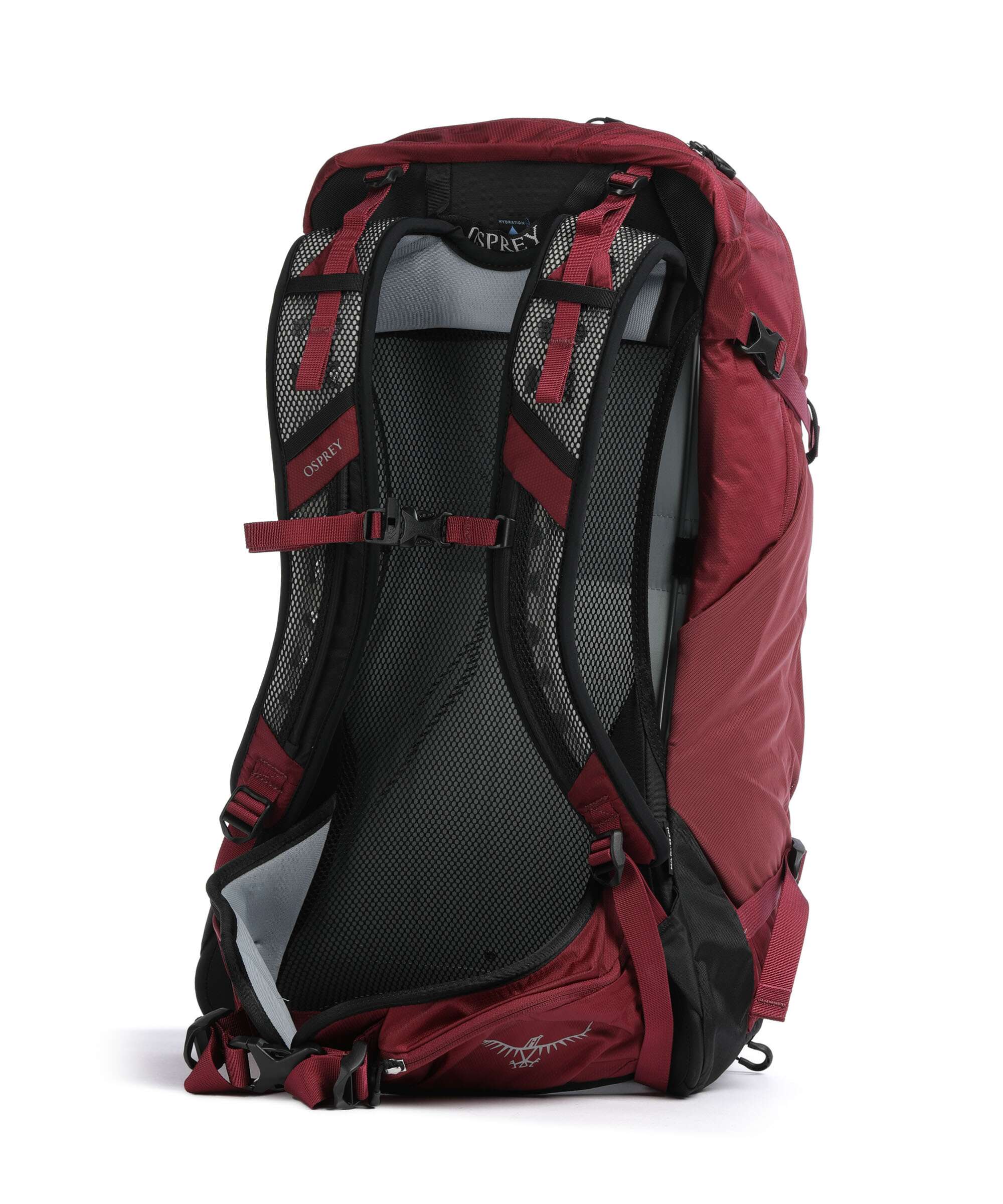 Osprey Hikelite 28 M/L Hiking backpack chameleon/black - Image 2