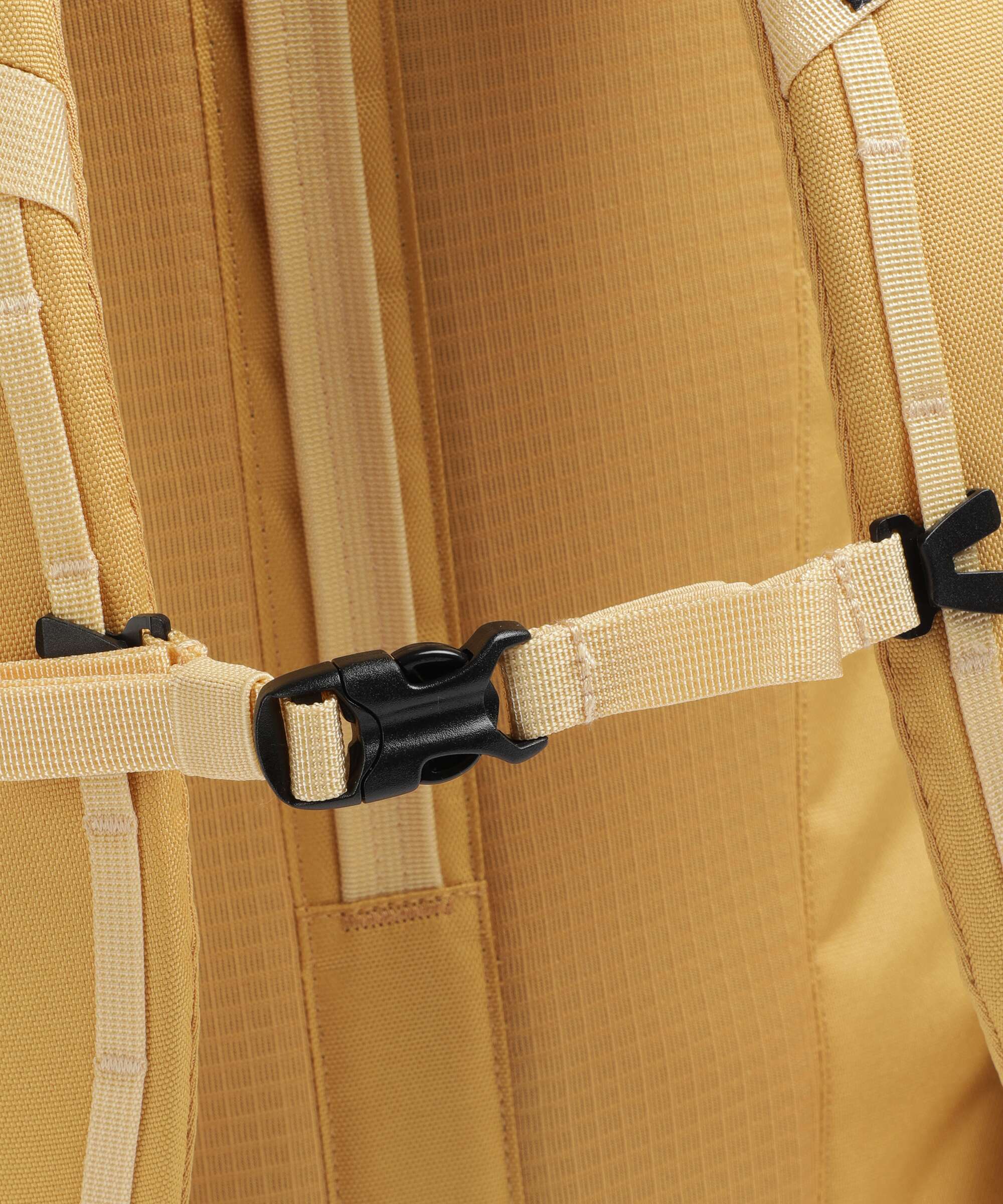 Patagonia Black Hole 32 Backpack pufferfish gold/beeswax tan - Image 4